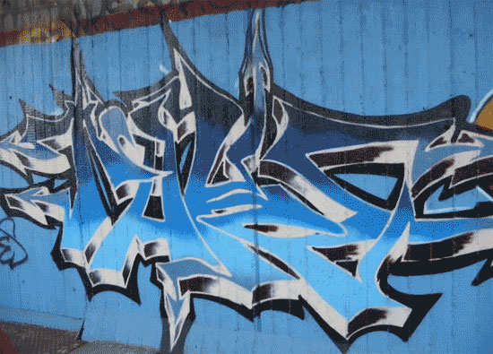 9158601.jpg